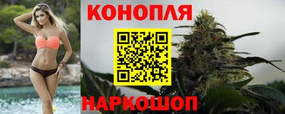 круглые Владимир