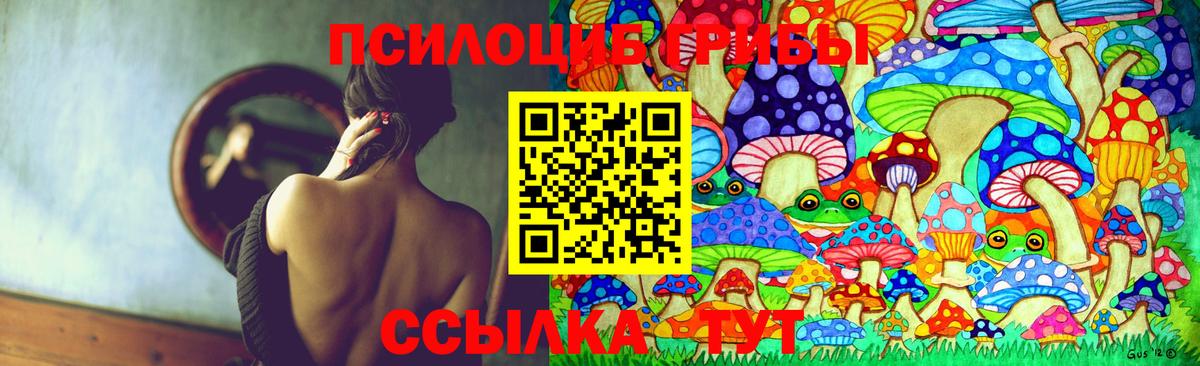 Галлюциногенные грибы GOLDEN TEACHER  Вход с VPN  цена наркотик  Муравленко 